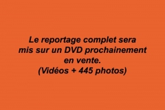 jpeg104